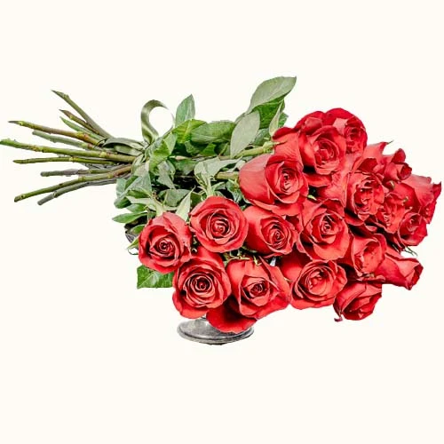 The Red Queen, 18 Stems