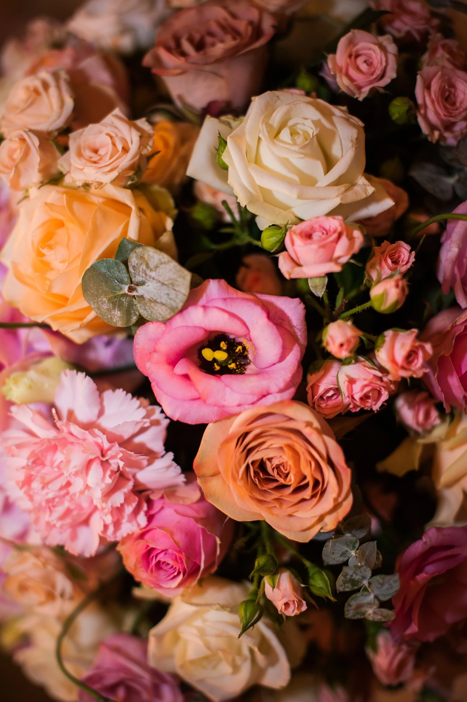 Florist Choice Box