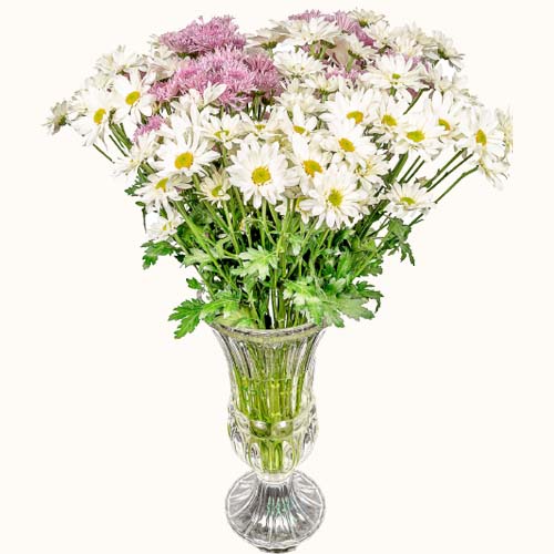 Pink and white 'Dainty Duet' flowers in a small vase