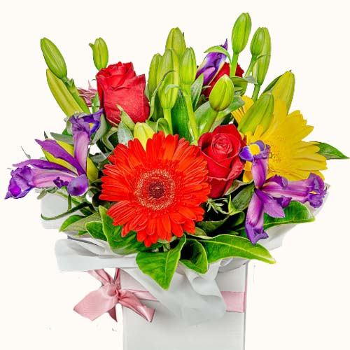 'Fierce Oasis' flowers in a small box with a ribbon