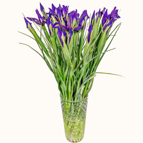 Purple 'Iris Sapphire' flowers in a small vase