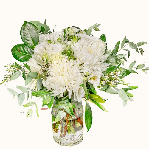 White 'Snowy Elegance' flowers in a small vase